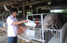 Vốn chính sách xây dựng nông thôn mới